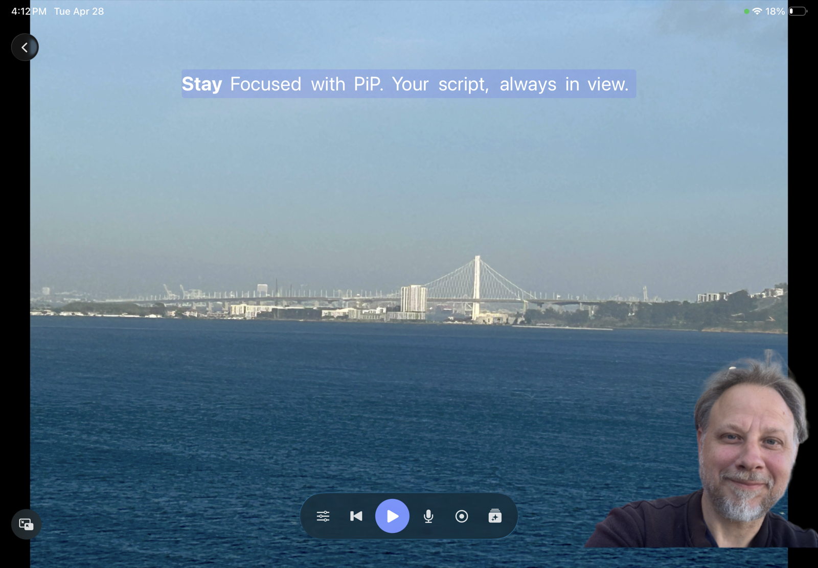 Picture-in-picture camera preview on iPad